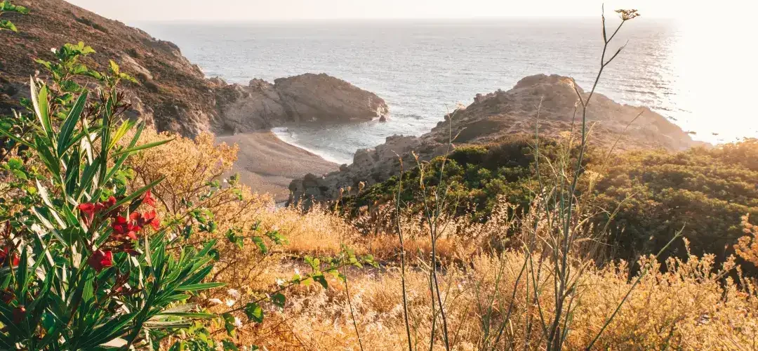 The Secret behind Long Life on the Island of Ikaria