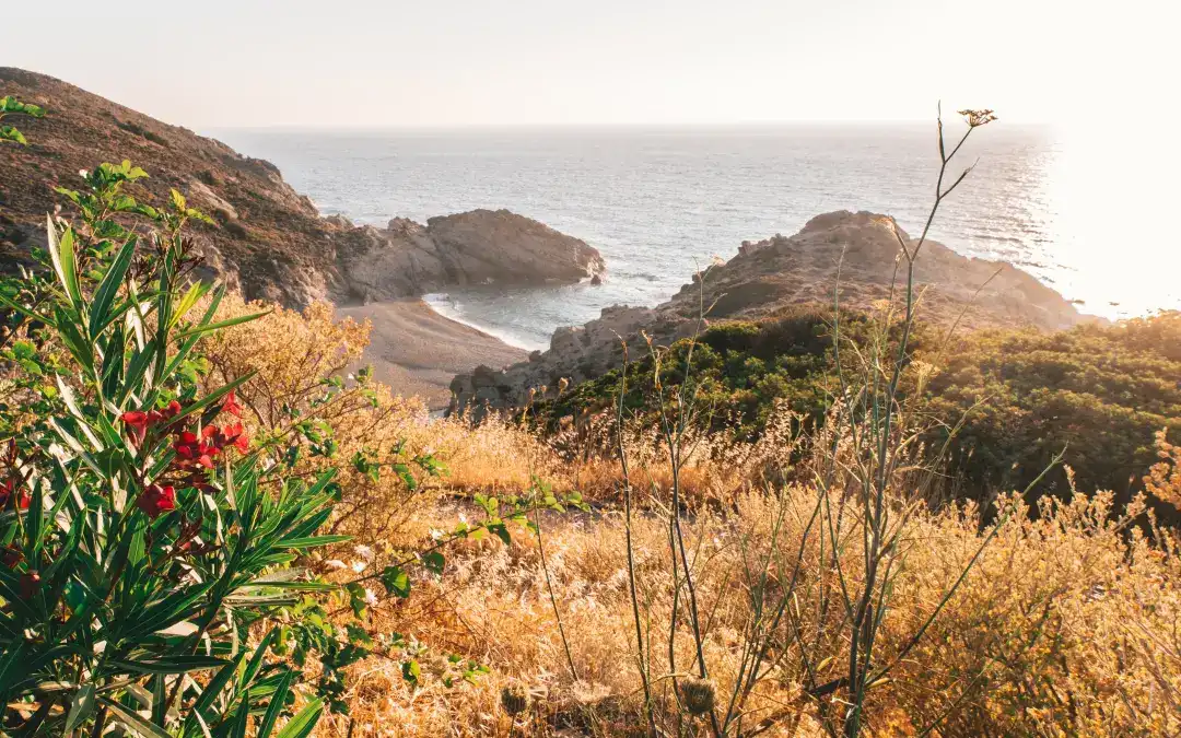 The Secret behind Long Life on the Island of Ikaria